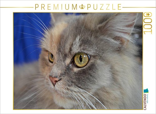 Calvendo puzzle maine - puzzle, coon
