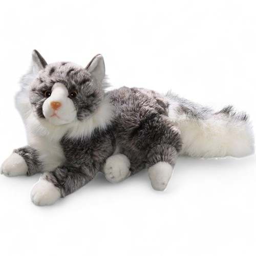 Carl dick chat - maine, coon