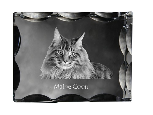 Maine coon pendentif - maine,