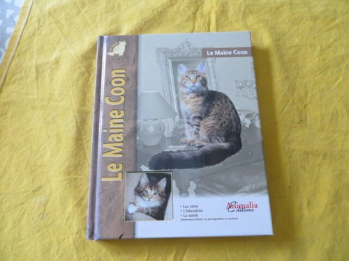Maine coon tracey - le, k