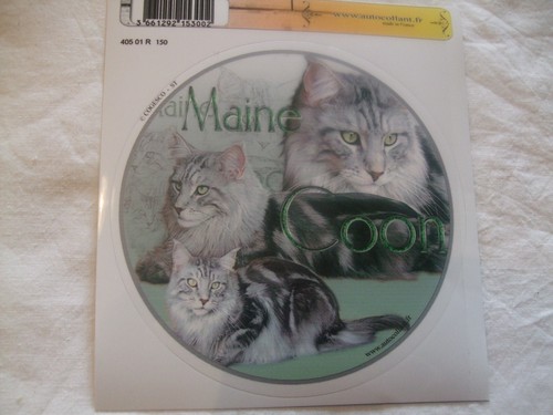 Autocollant motif chat - autocollant,
