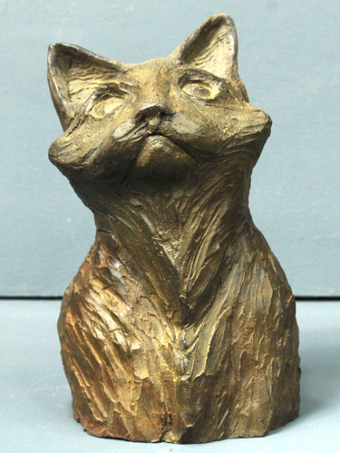 Buste chat maine - chat, terre