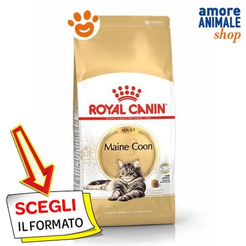 Royal canin fbn chat maine - canin,