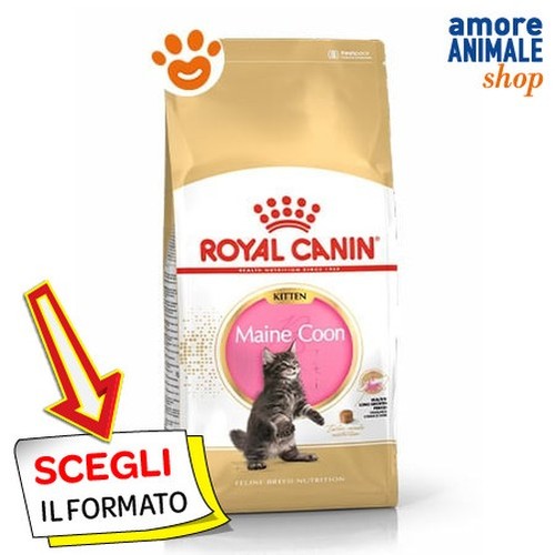 Royal canin chat fbn kitten - chat,