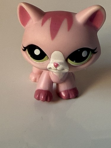 Petshop chat maine - petshop,