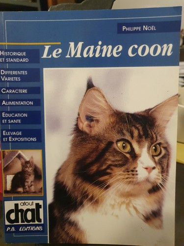 Maine coon philippe - maine,